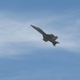 Illustration for article titled Wings Over Pittsburgh 2: The Sequel
